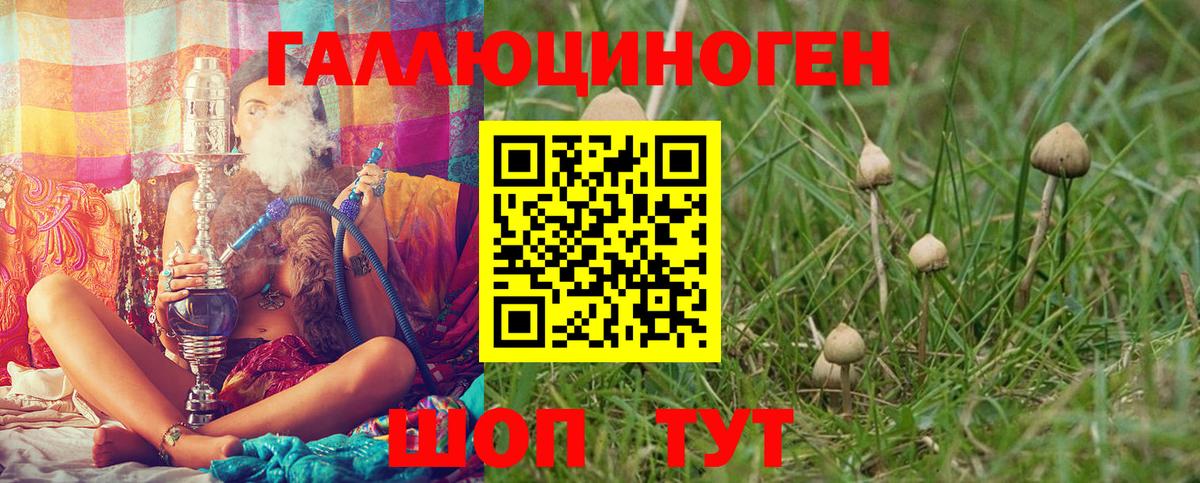 Псилоцибиновые грибы мицелий  Вход с VPN  Вологда 